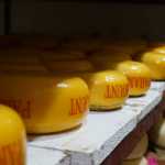 Ason Rubagasira, Käse-Qualitätstester aus Uganda