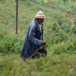 Jeremia Byaharungo, traditioneller Heiler aus Uganda